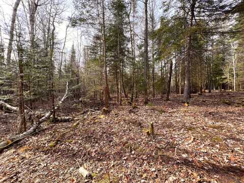 6 lots Arbutus Drive, Cheboygan, MI 49721