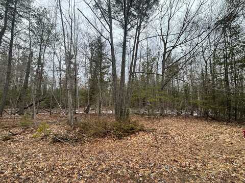 Lot 89 E Renwick Circle, Presque Isle, MI 49777