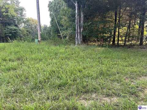 Lot #539 Strawberry Hill Drive, Brandenburg, KY 40108