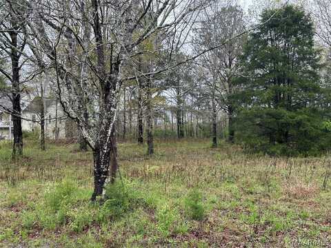 Lot 15 Plantation Drive, Selma, AL 36702