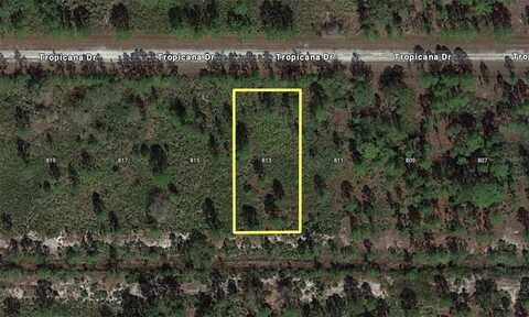 813 TROPICANA DRIVE, INDIAN LAKE ESTATES, FL 33855