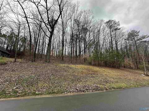 Lot 47 Seven Bark Drive, Cullman, AL 35055