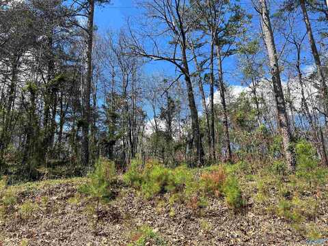 Tract A Scenic Highway, Gadsden, AL 35904