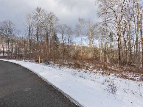 Lot 21 Hemlock Hills Rd, Towanda, PA 18848