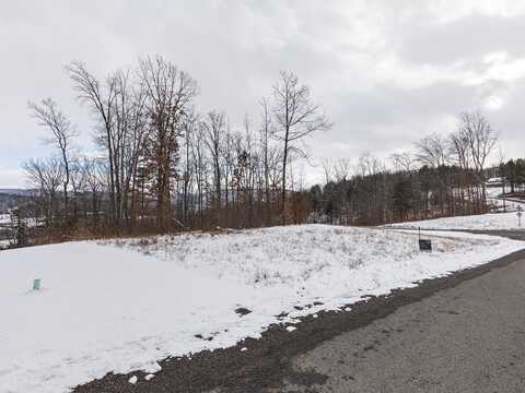 Lot 39 Hemlock Hills Rd, Towanda, PA 18848