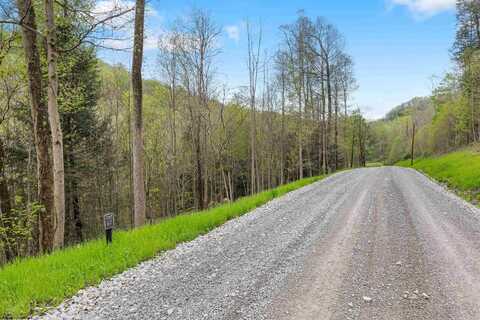 Lot 67 Whitewater Preserve Parkway, Bruceton Mills, WV 26525