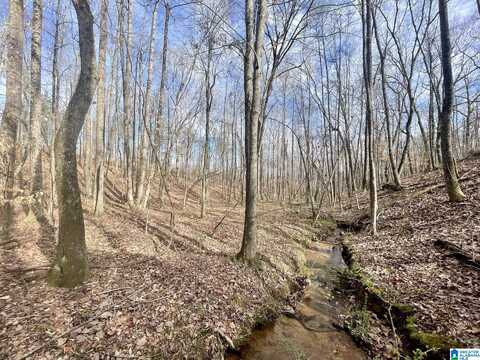 Tract 5 COUNTY ROAD 268, ROANOKE, AL 36274