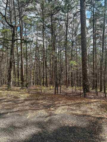 Lot 20, Block 7 Alvero Way, Hot Springs Village, AR 71909