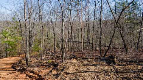 0 Lantern Ridge, Lot 110, Chickamauga, GA 30707