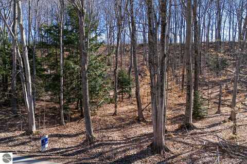 4.66 ACRE E CHRISTMAS COVE, NORTHPORT, MI 49670