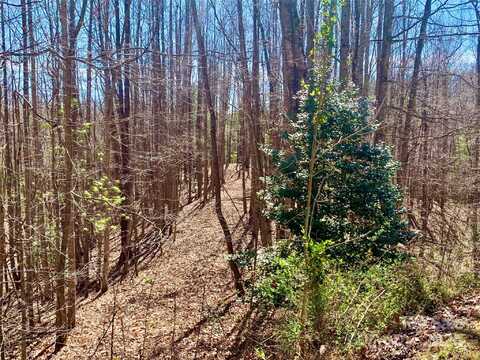 2.78 Acres,Lot 84 Round Rock Road, Lenoir, NC 28645