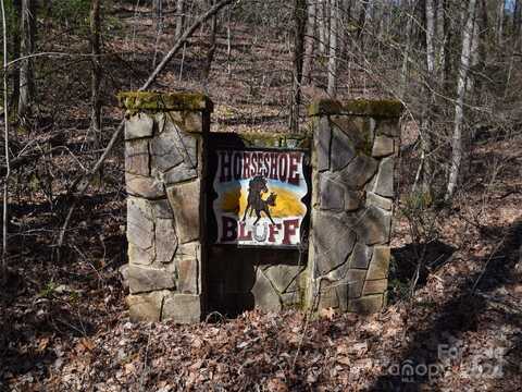 Horseshoe Bluff lot: 5, Whittier, NC 28789