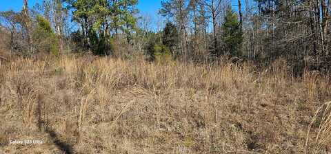 Lot 138 Meadow LAne, Georgetown, GA 39854