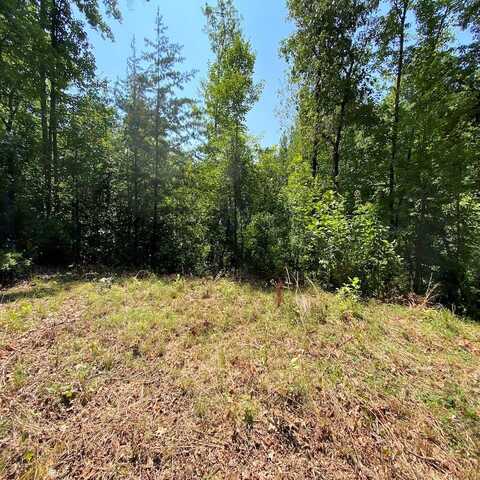 Lot 3 Red Dog Ln, Whittier, NC 28719