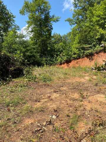 Lot 4 Red Dog Ln, Whittier, NC 28719