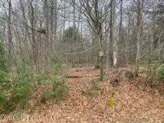 Rainbow Run Lot 40, Gouldsboro, PA 18424