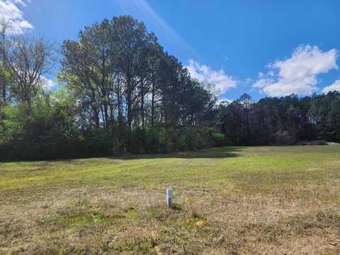 Arlington Blvd Lot 3, Columbus, MS 39702