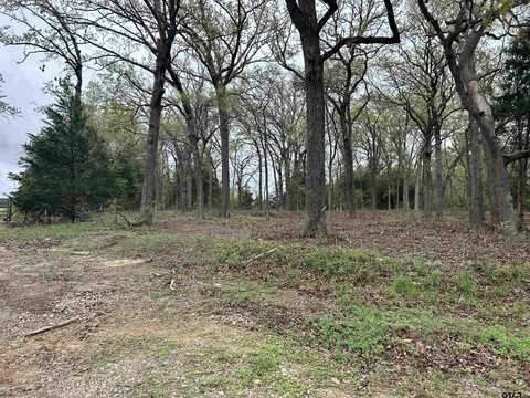 LOT 2 BLOCK 2 COUNTY ROAD 2138 (OLD TYLER HWY), Troup, TX 75789