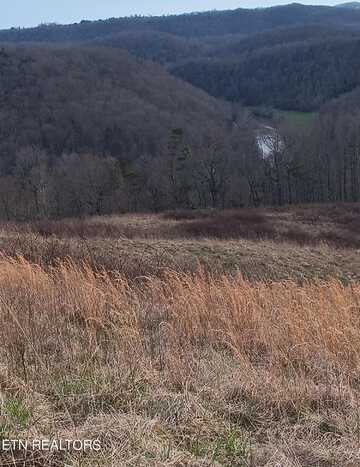 Lot 8 King Bend Road, Cumberland Gap, TN 37724