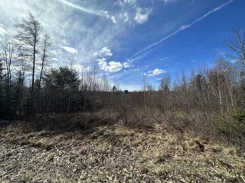 MAP7LOT64 Blackswoods Road, Franklin, ME 04634