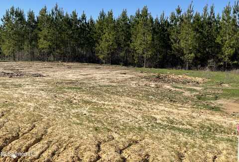 Lot 41 Freedom Ridge Lane, Brandon, MS 39047