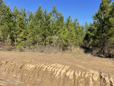 Lot 44 Freedom Ridge Lane, Brandon, MS 39047