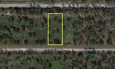 814 TROPICANA DRIVE, INDIAN LAKE ESTATES, FL 33855