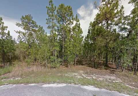 SILVER SPRINGS #25, OCALA, FL 34480