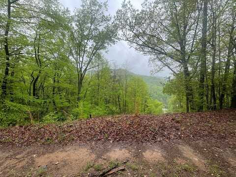 0 Ledford Rd, BRYSON CITY, NC 28713