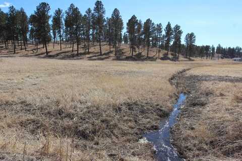 Lot 4 South Star Drive, Custer, SD 57730