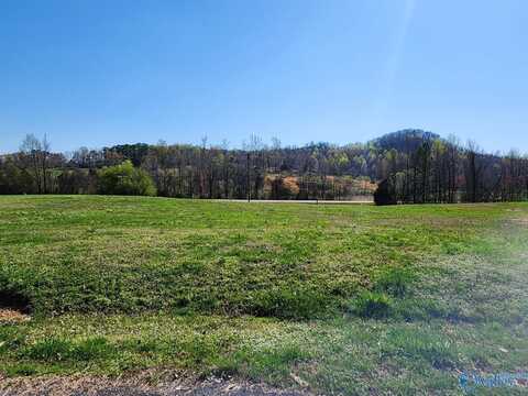 Lot 10 Eliza Lane, Guntersville, AL 35976