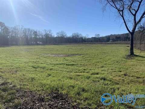 2.92 Acres Rock Store Road, Guntersville, AL 35976