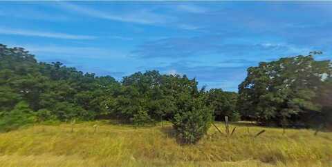 Lot 118 Willow Drive, Wills Point, TX 75169