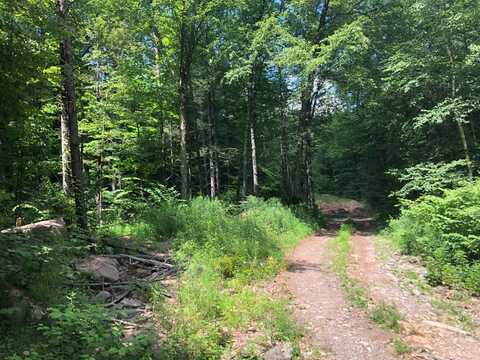 Lot 1 Emerson Terrace, Phoenicia, NY 12461