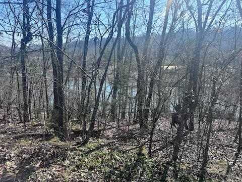 128 Delaware Point, Ten Mile, TN 37880