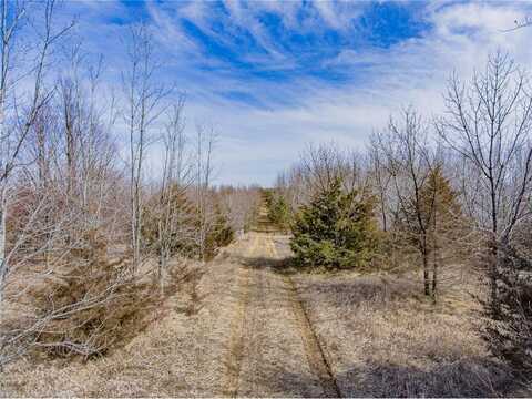 157xx Halsey Avenue, Carver, MN 55315