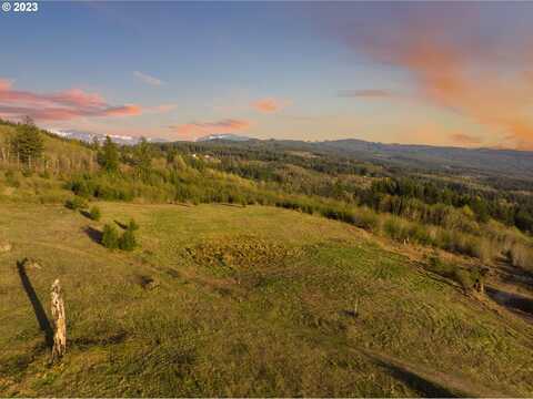 0 NE Alvas, Battle Ground, WA 98604