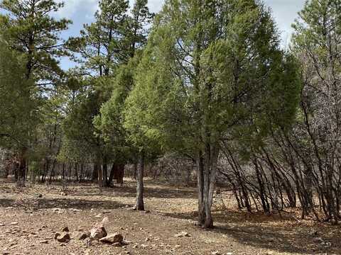 Private Drive 1754 blk 2 lot 24, Chama, NM 87520