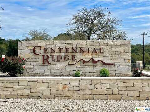 1220 Adyson Ridge Drive, Bulverde, TX 78163