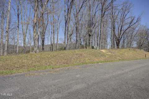 Tbd West Of Dry Hill Road, Butler, TN 37640