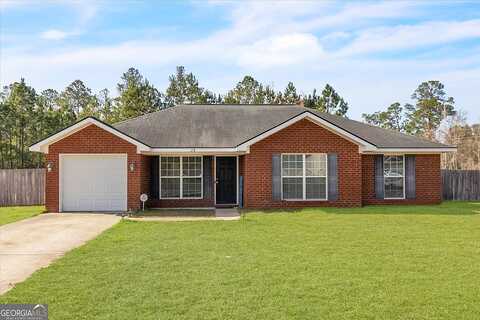 Pine View, LUDOWICI, GA 31316