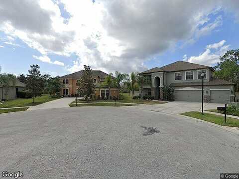 Ninebark, LAND O LAKES, FL 34638