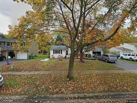 Snowberry, ROCHESTER, NY 14606