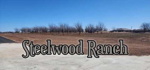 10025 Steelwood Lane, Canyon, TX 79015