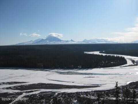 Nhn Wood Avenue, Copper Center, AK 99573