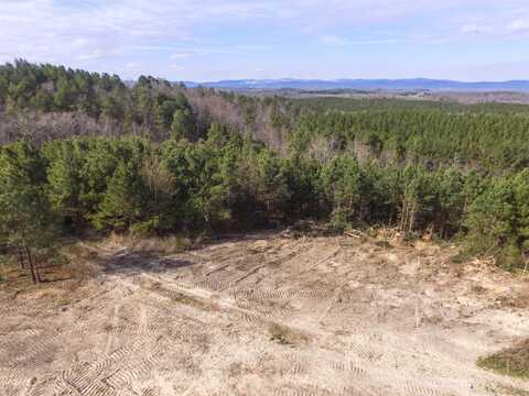 Lot 2 Polk Road 617, Mena, AR 71953