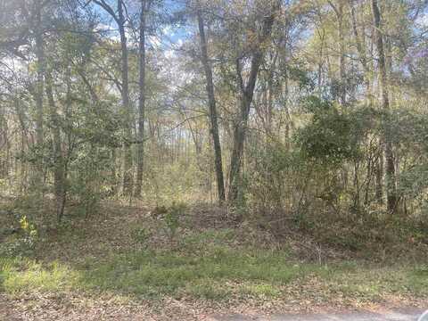 TBD Senior Rd., Kingstree, SC 29556