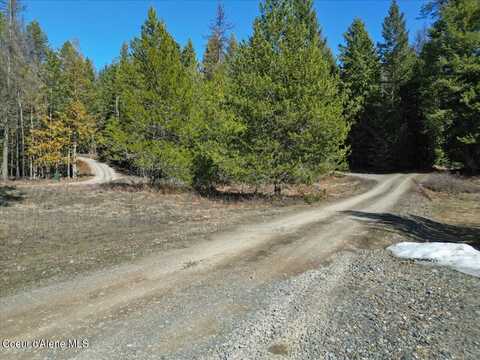 245 Mount Smith Est, Cocolalla, ID 83813