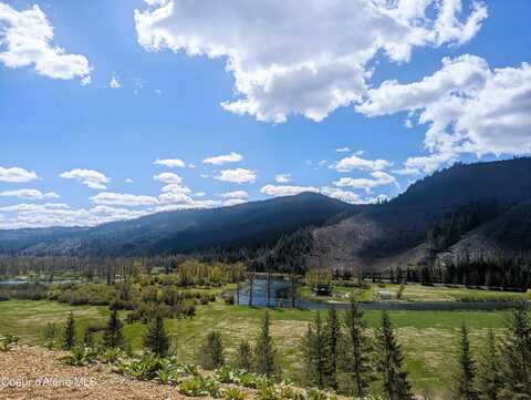 484 Ahrs Loop Rd, Saint Maries, ID 83861