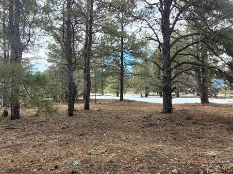 423 Monte Vista Drive, Pagosa Springs, CO 81147